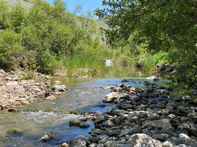 Jalama Creek on the Dangermond Preserve after dam removal.
