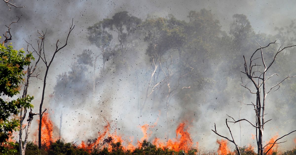 Climate Change Burns The Fortunate — Not Just The  Rainforest