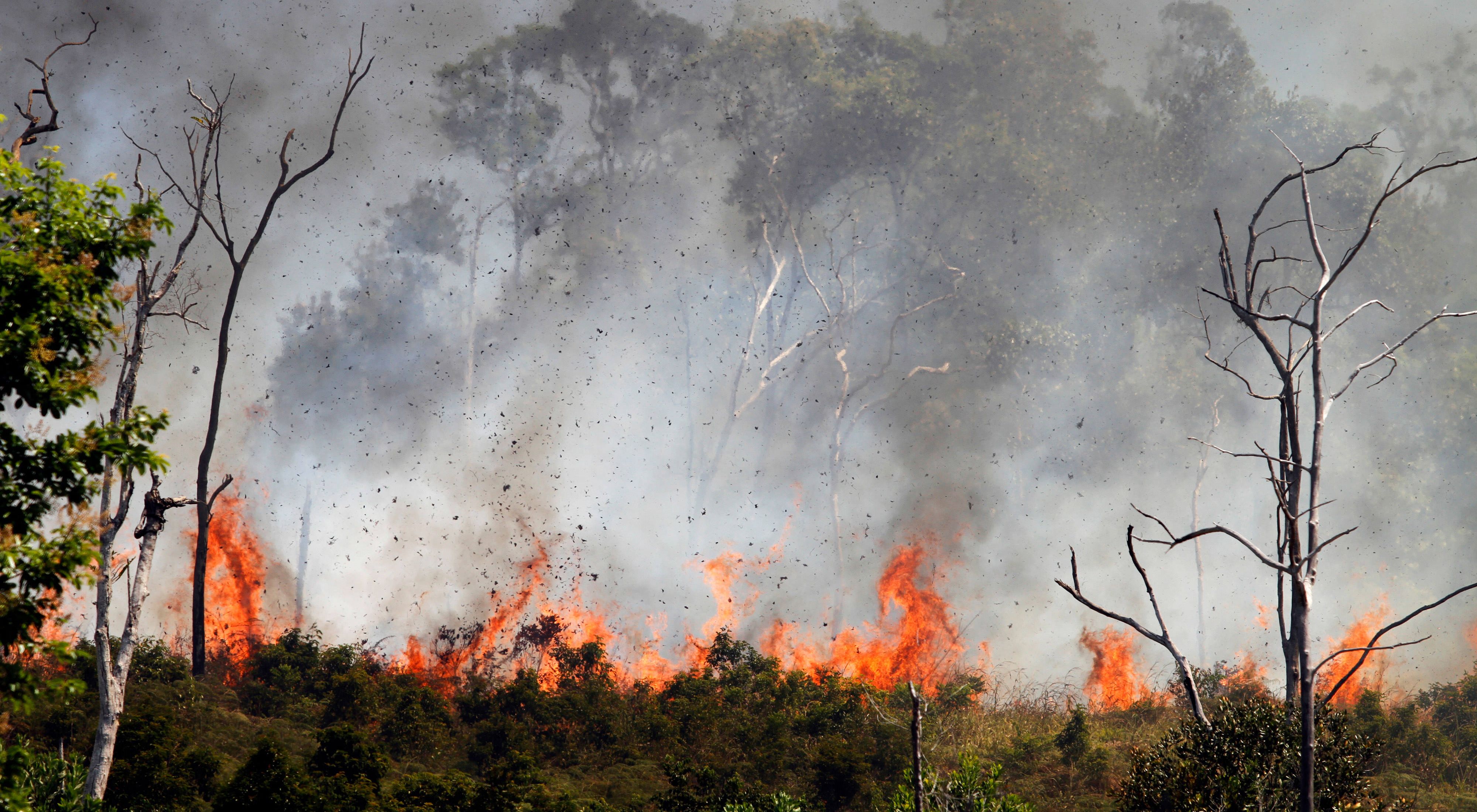 Indonesia's Forest Fires – What You Need to Know