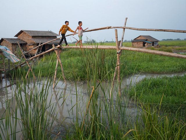 Duck farm in the Irrawaddy River Delta