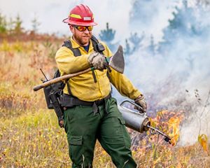 A wildland firefighter in green pants, yellow shirt, and red helmet, holding fire tools.