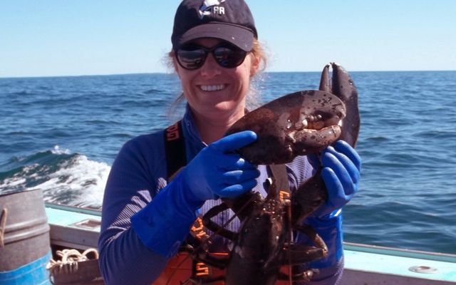 Dr. Jocelyn Runnebaum wears blue rubber gloves and holds up a large lobster while standing on a boat in the ocean.