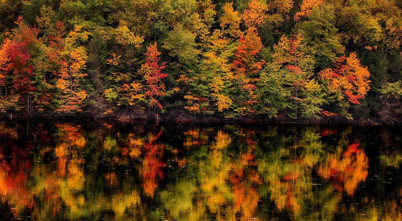 Autumn trees reflecting off the water.