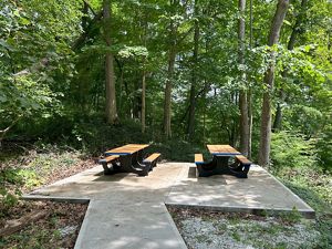 Two shaded ADA-compliant picnic tables on a cement pad. 