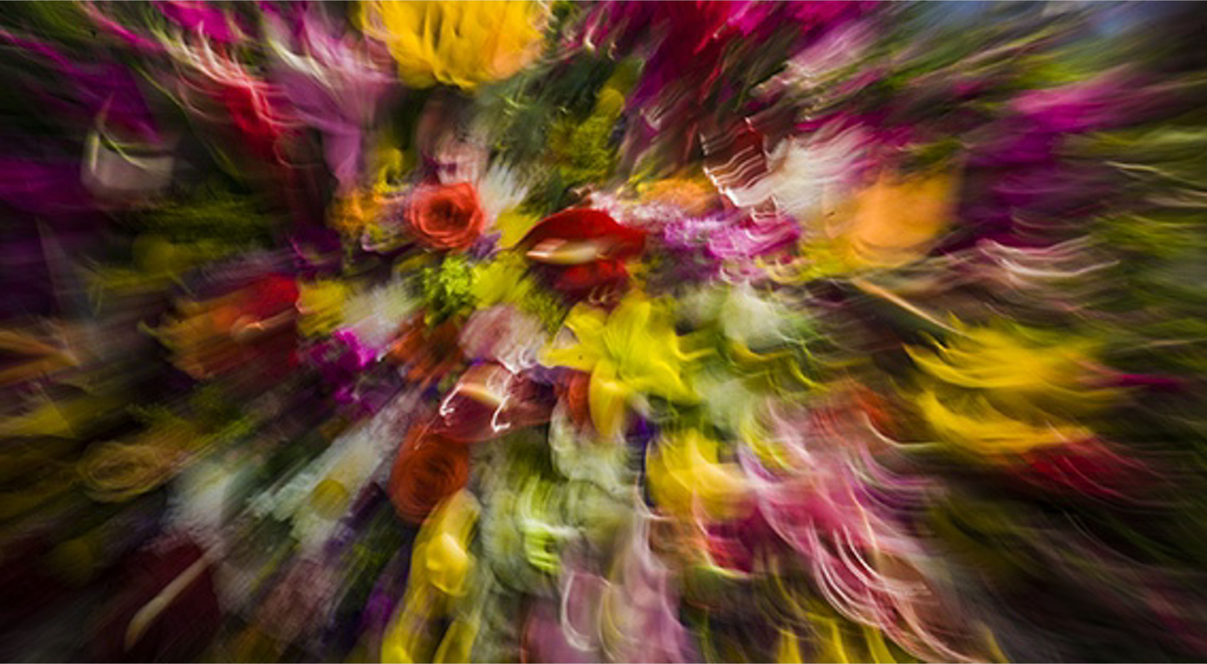 A bouquet of flowers with blossoms of red, yellow, magenta and white seems to swirl and move in a riot of color.