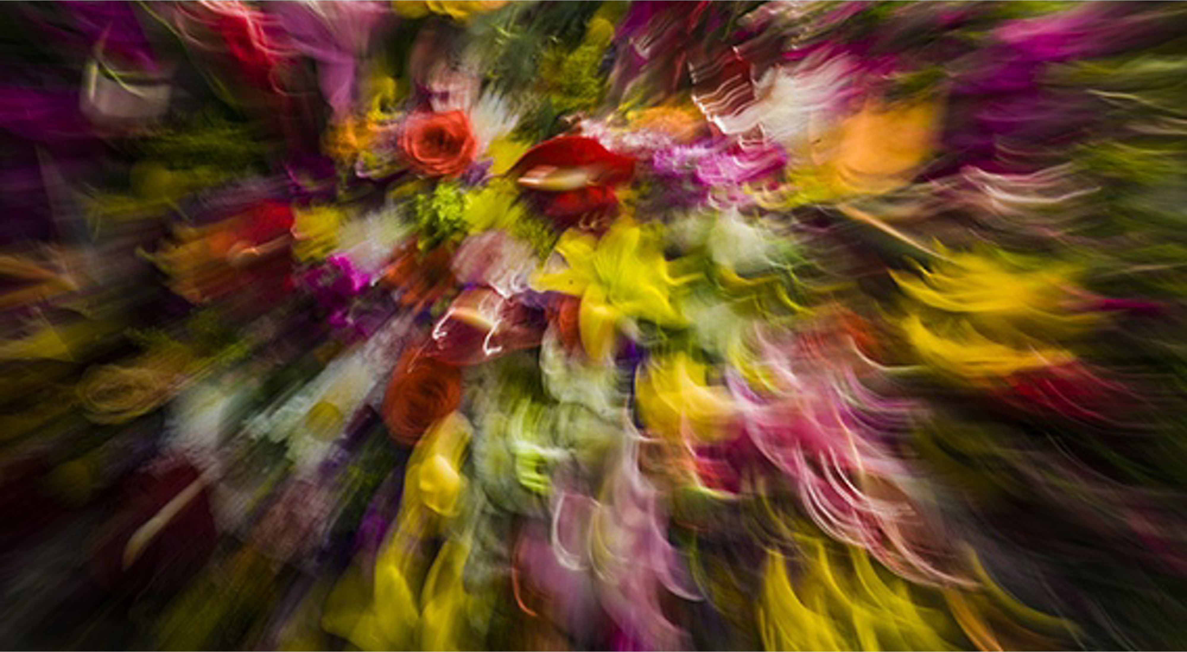 a blur of vibrant flowers