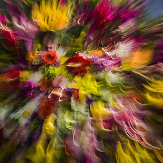 A bouquet of flowers with blossoms of red, yellow, magenta and white seems to swirl and move in a riot of color.