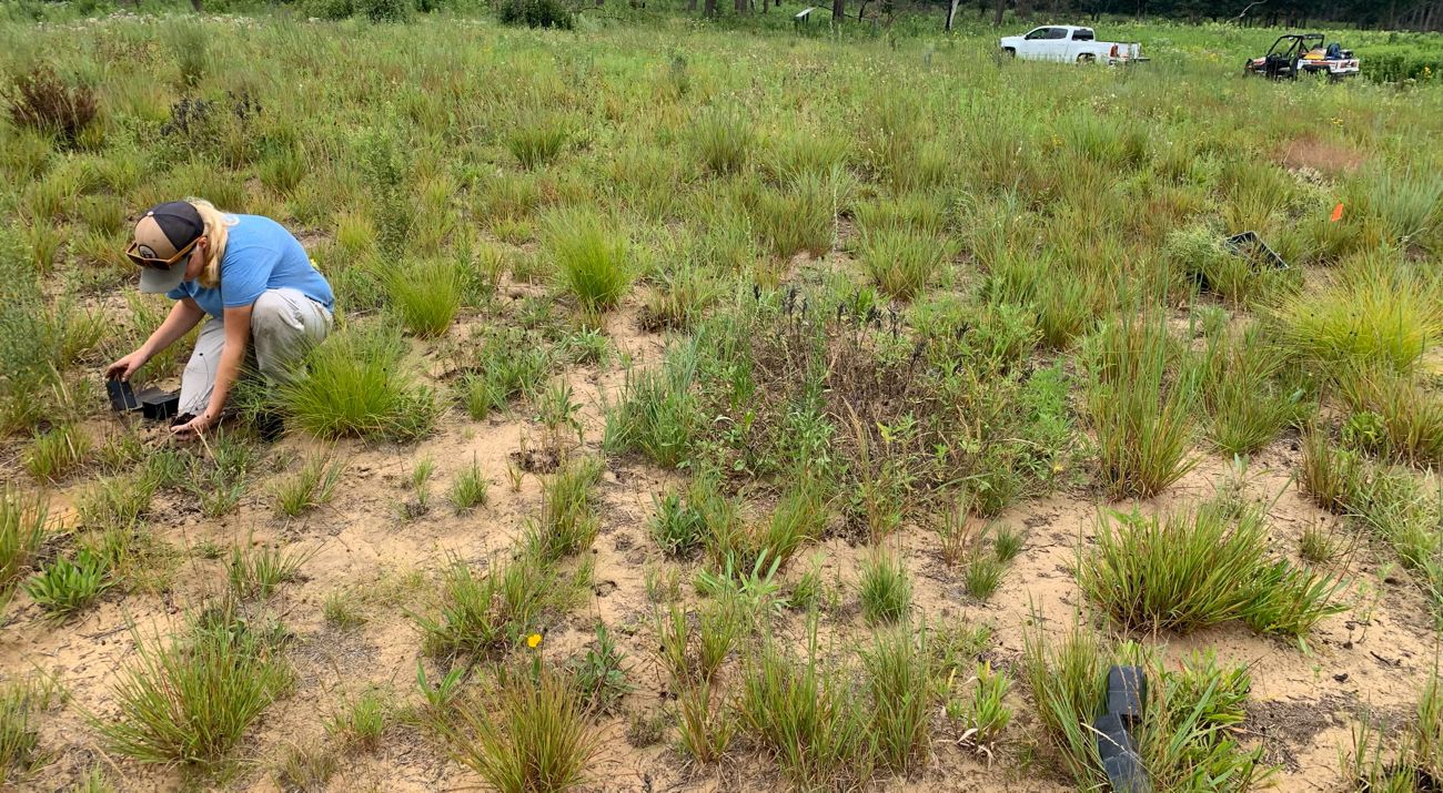 TNC's Katey Powell putting small plants into the ground at Prairie Border Nature Preserve.