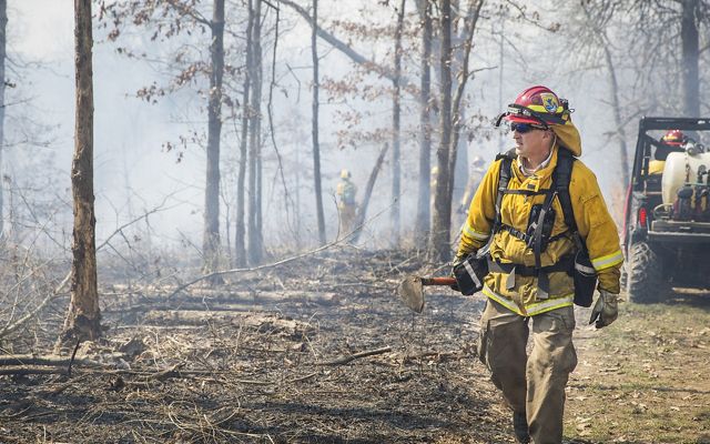 A fire management crew member walks through smoke with a watchful eye on the burn line with tool in hand.