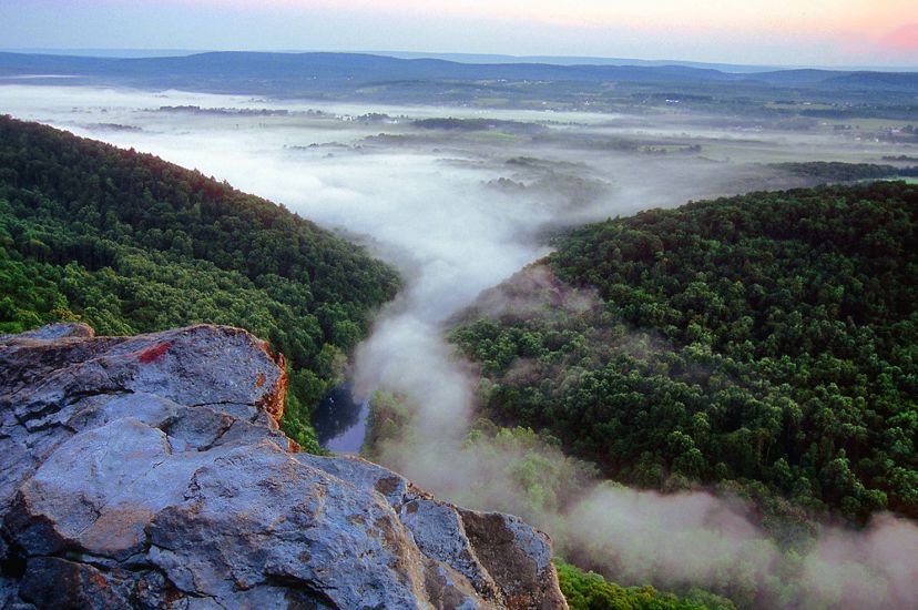 View from a rock outcropping of thick white mist rising up from the green forest in the valleyl below.