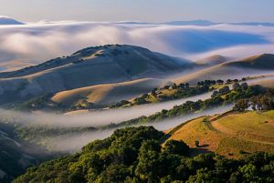 clouds settling in a mountainous forest landscape.