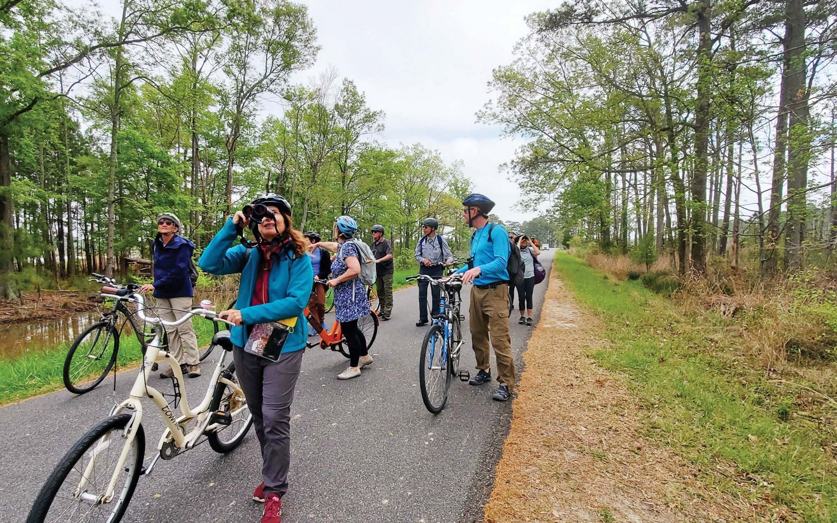 
                
                  Bike along the trails  Legacy members biking along the trails of Blackwater National Wildlife Refuge, a prime spot for viewing bald eagles and other birds.
                  © Emma Miller/TNC
                
              