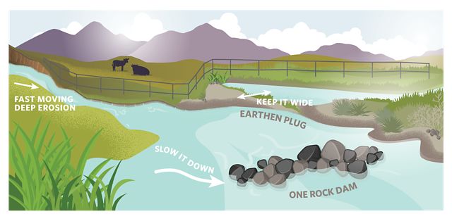 Ilustración de un río con rocas y estructuras de tierra que ayudan al flujo del agua.
