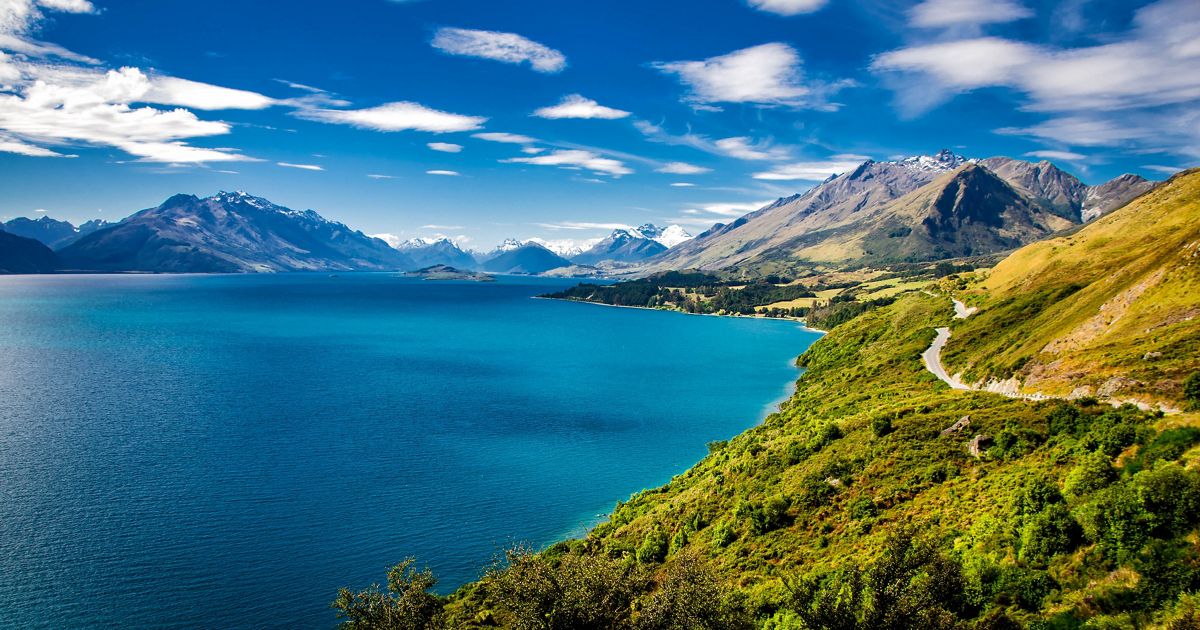 The Nature Conservancy in Zealand