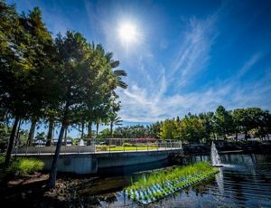 A well-landscaped walkway by a lake.