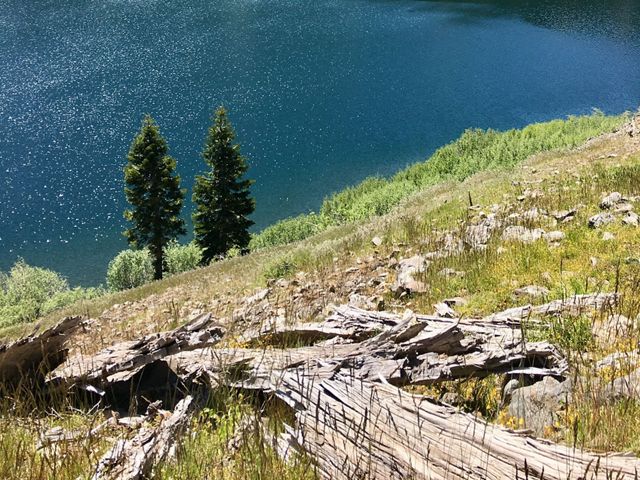 A view of the shore and lake at Independence lake.