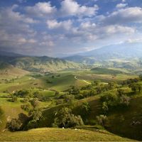 Located between Bakersfield and Los Angeles, TNC has protected 41,670 acres and counting of this rugged area. 