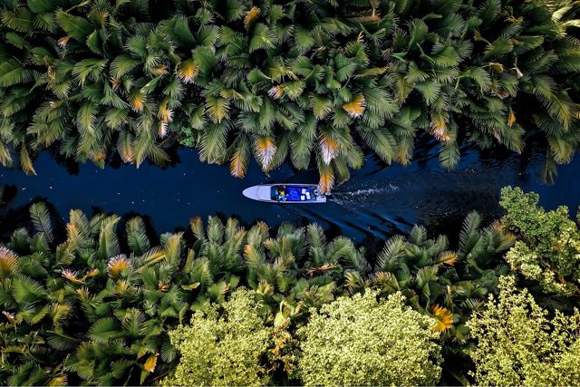 An aerial view of a boat traveling along a narrow canal lined by mangroves and palm trees.