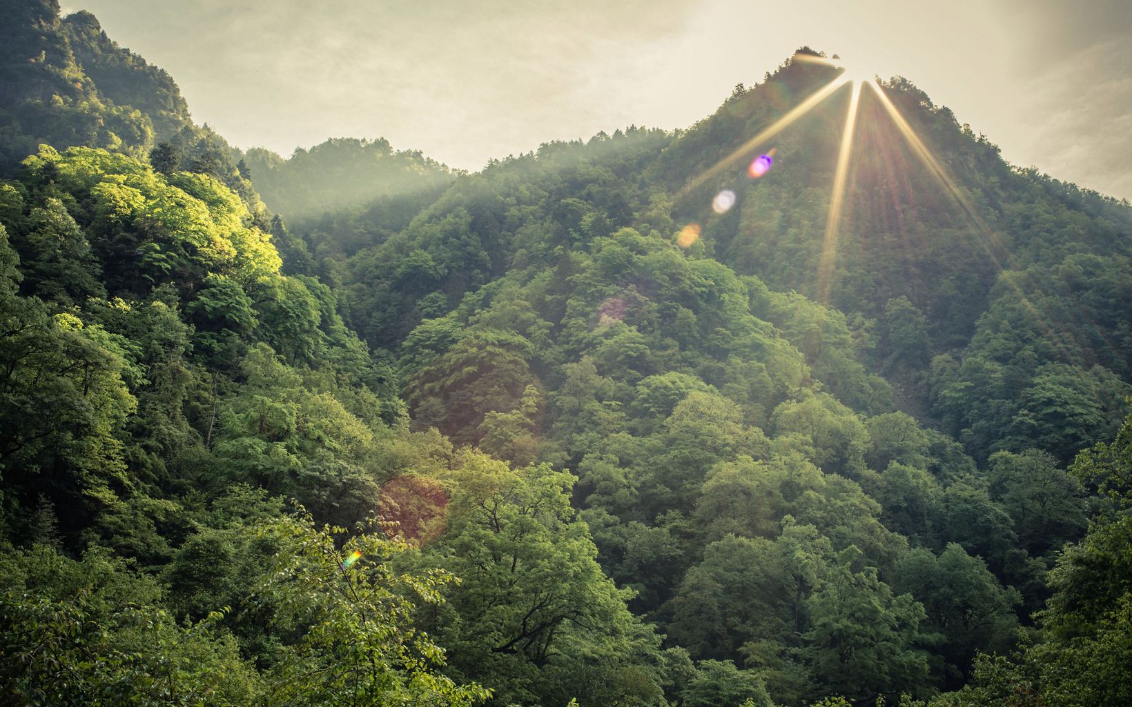 A view of the steep mountains and tree covered ridge lines of Laohegou Nature Reserve, Pingwu County, Sichuan Province, China. 
