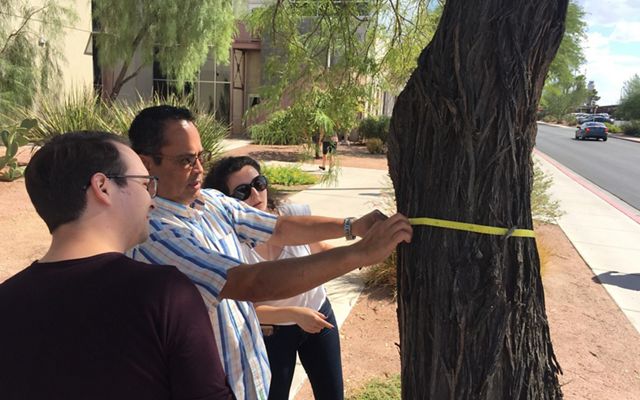 UNLV landscape architecture students evaluate tree health in Las Vegas.