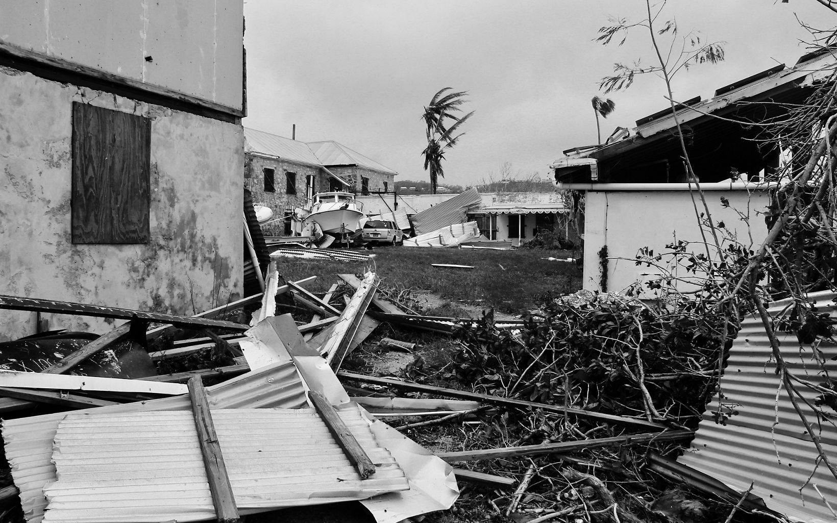 Hurricane Maria damage at TNC nature preserve Estate Little Princess