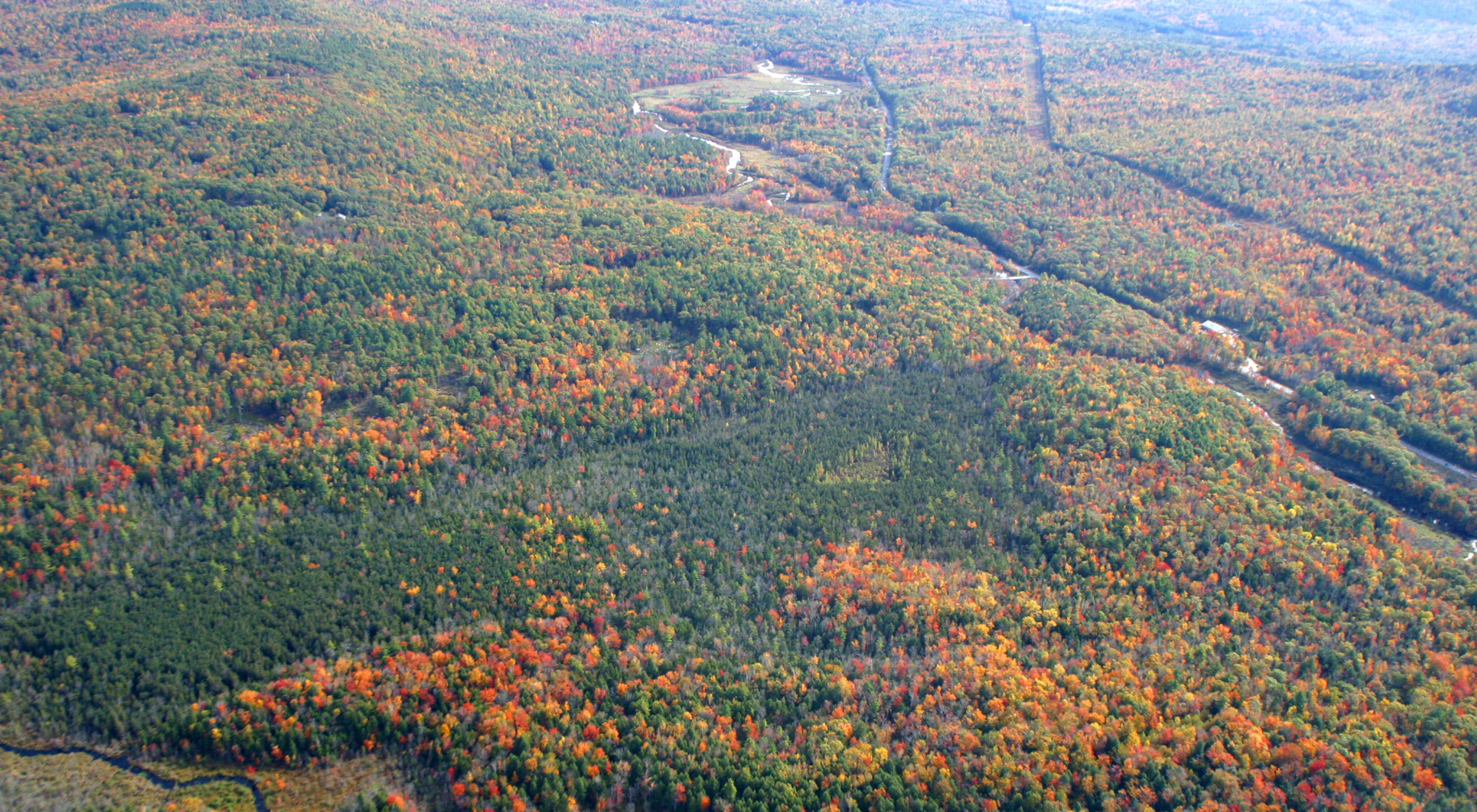 Fall descends upon Loverens Mill Cedar Swamp Preserve in Antrim, New Hampshire.