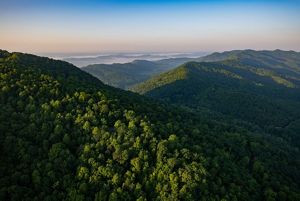 Conserving the Appalachians The Nature Conservancy