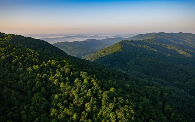 Vista aérea de un área boscosa del Cumberland Gap en Kentucky.