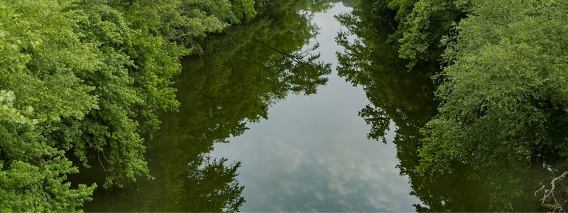 An adult and a child jump rocks to cross a stream in the forested mountains of Kentucky.