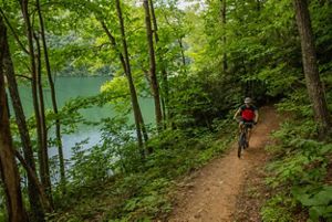 A man rides his bike on a curved trail, surrounded by trees.