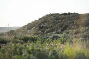 A green natural hill.