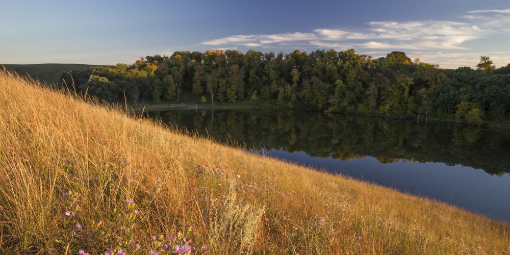 A prairie hill with a woodland and a body of water in the background.