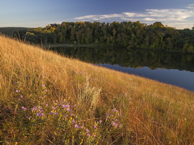 A vista of a prairie with a lake and a woodland area in the background.