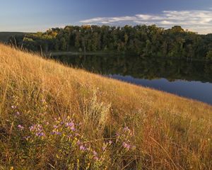A vista of a prairie with a lake and a woodland area in the background.