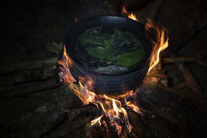 Sobre un fuego de leña, una gran olla negra con intrincados tallados hierve agua llena de hojas verdes del árbol de guayasa.