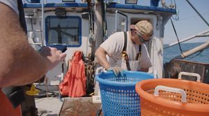 Maine fishermen working at sea.