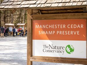 A preserve sign that reads Manchester Cedar Swamp Preserve and displays The Nature Conservancy logo.