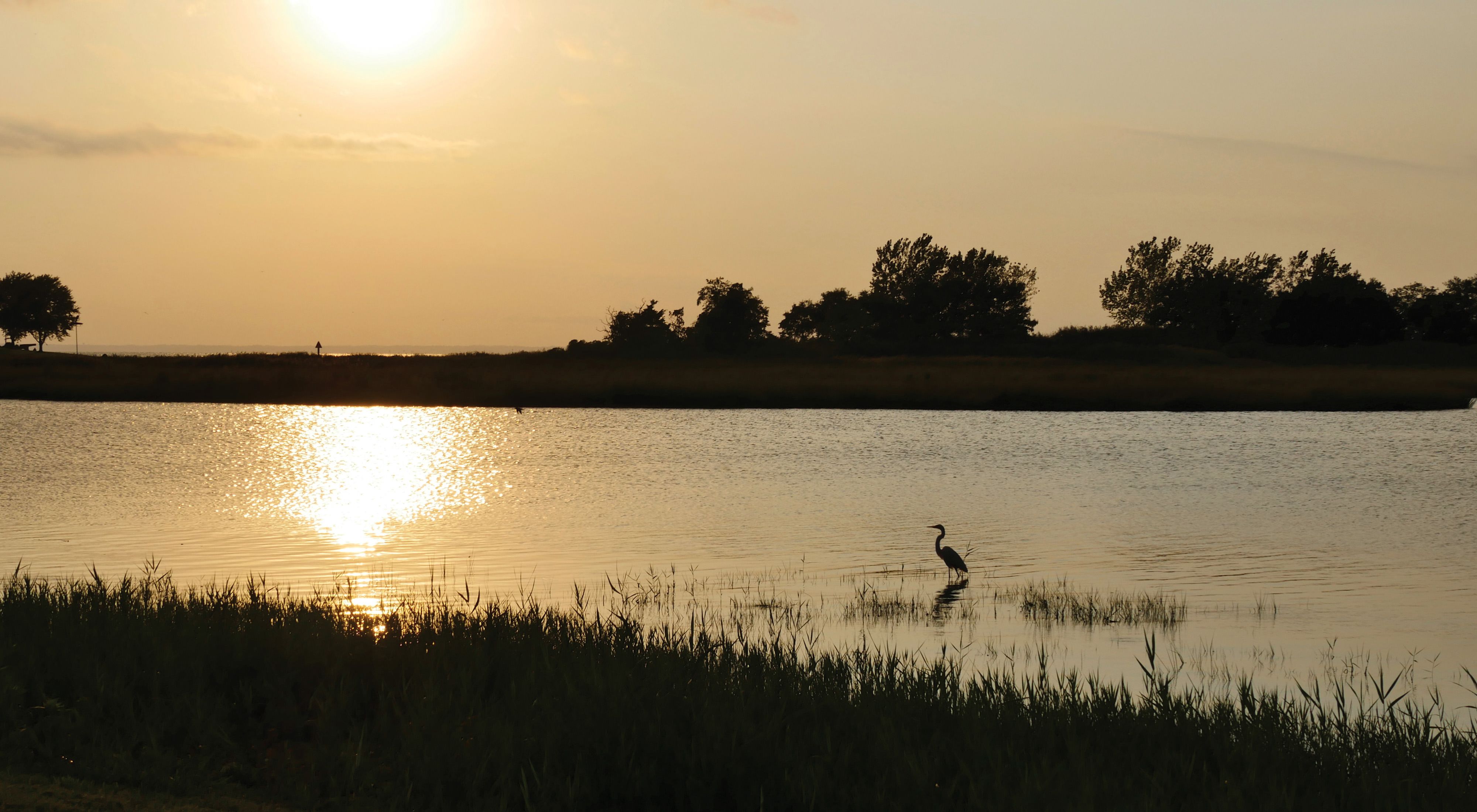 A Chesapeake Bay inlet at sunset. The sky and light cast on the scene are orange. An egret is silhouetted against the water. The sun's reflection on the water shows ripples on its surface.
