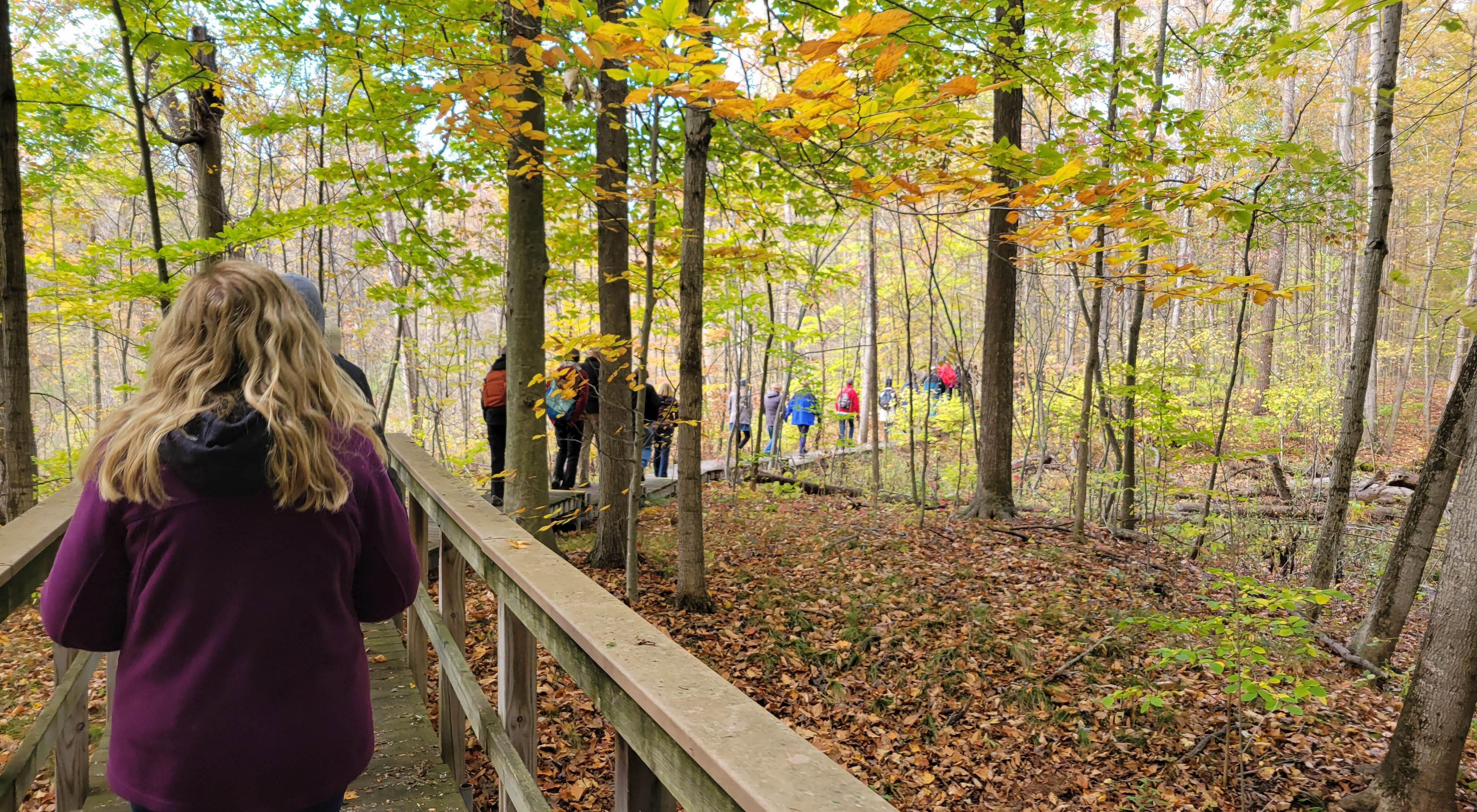 A group of people walk along a boardwalk single file. The path winds through the forest at Nan Weston Nature Preserve at Sharon Hollow in Michigan. 