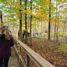 A group of people walk along a boardwalk in autumn at the Nan Weston Nature Preserve in Michigan. 