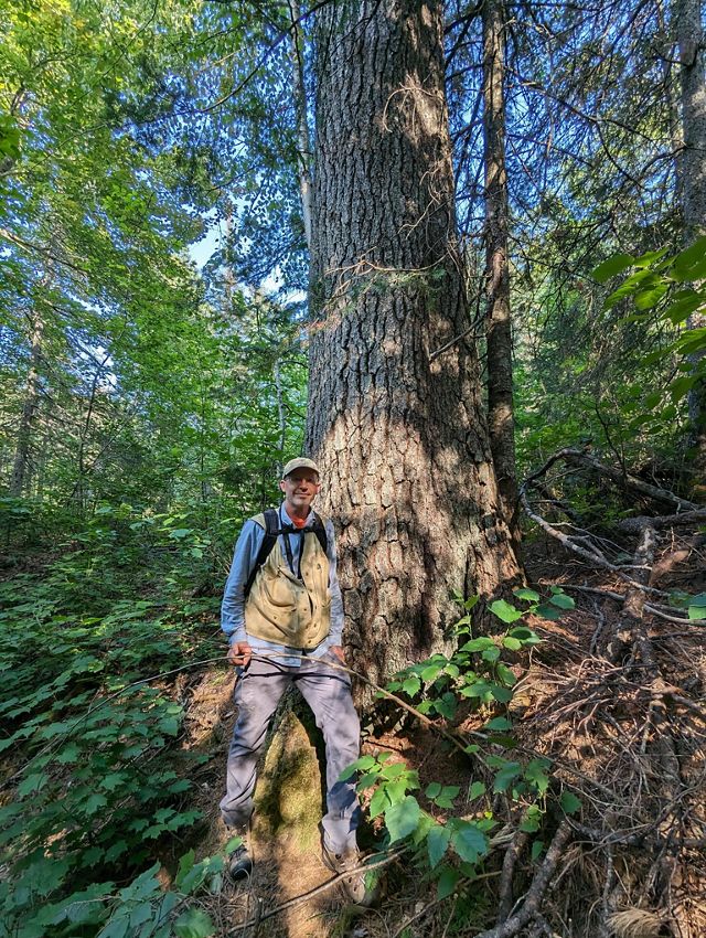 Doug Pearsall stands in front of a large tree in the Keweenaw Heartlands. 