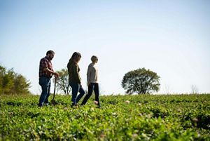 Three people walk through an agriculture field on a sunny day.