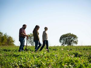 Three people walk through an agriculture field on a sunny day.