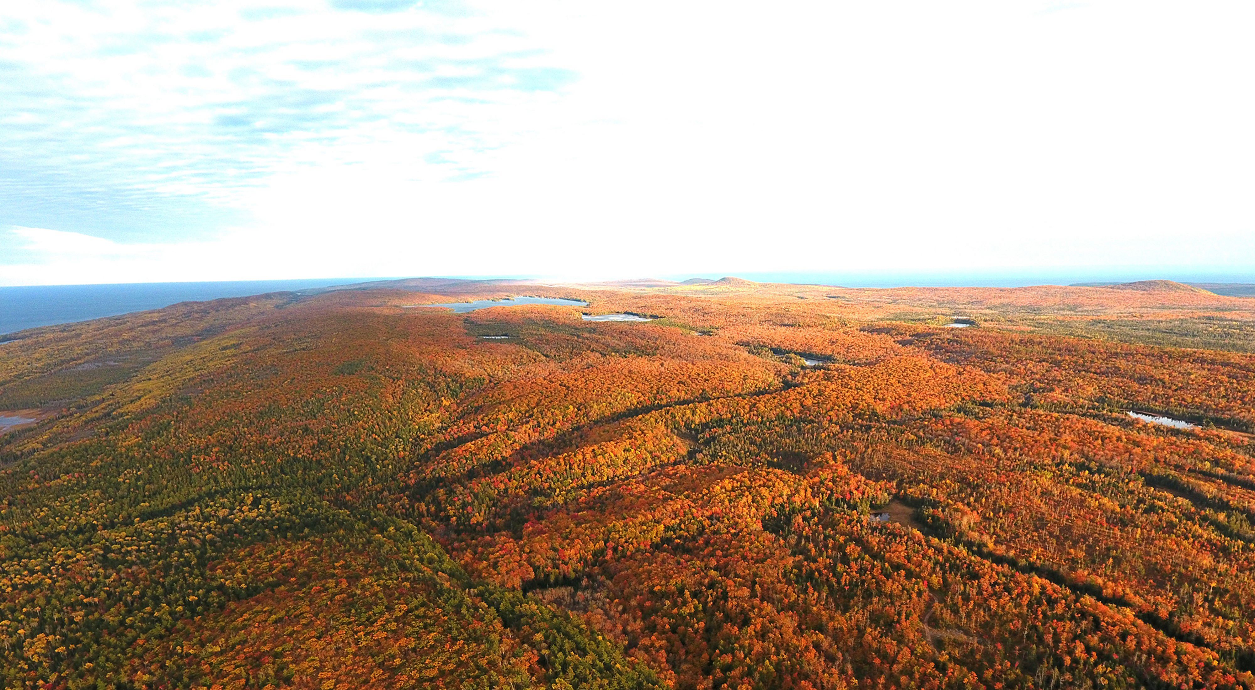 Aerial image of Keweenaw forest in the autumn. Trees are covered in bright oranges, yellows and reds. 