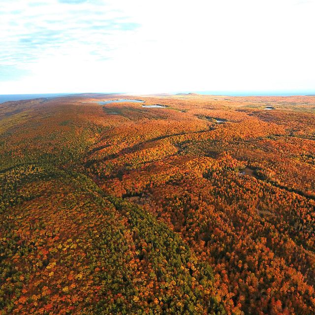 Aerial view of  Michigan's Keweenaw Peninsula in the autumn. The trees are covered in deep-red and orange leaves. . 