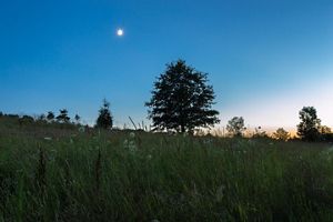 The moon shines over Paw Paw Prairie Fen Preserve. The sun is just starting to rise over the horizon. 