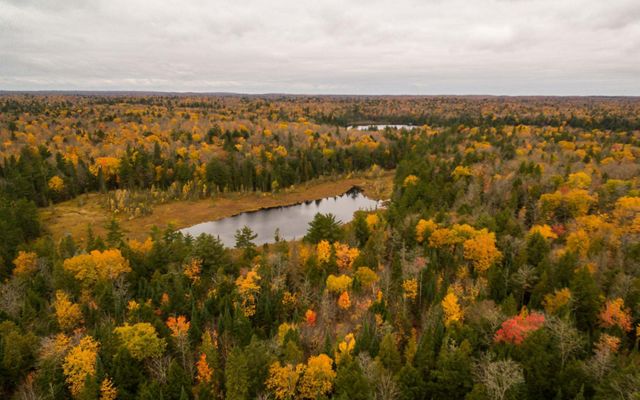The Michigamme Highlands in Michigan in the autumn. The trees are covered in brightly colored leaves. 