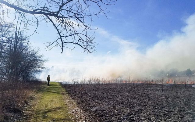 A person walks along a fire line as a controlled burn is conducted in Michigan. The land in the foreground is dark. Flames rise from land in the distance. 