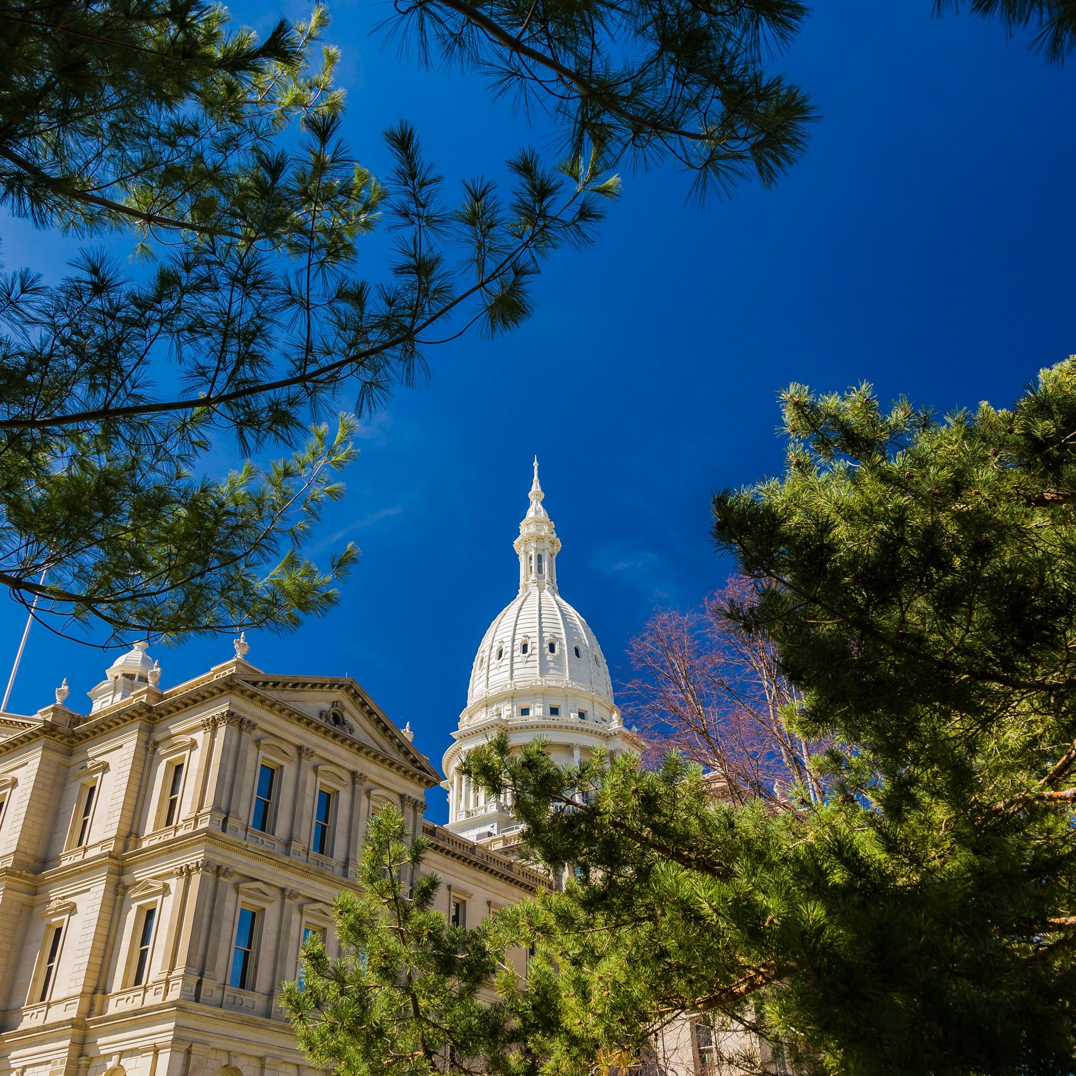 The dome of Michigan's statehouse framed by tree branches and a bright blue sky in downtown Lansing. 