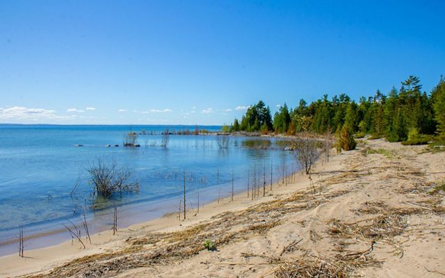 The sandy shore of Lake Huron in the North Point Peninsula on a sunny, clear day.